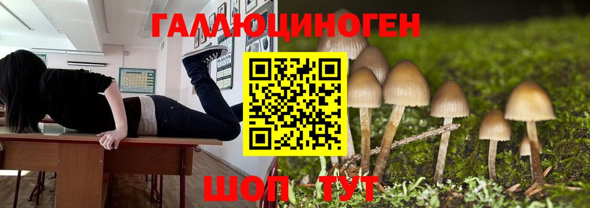 Дубна  Галлюциногенные грибы MAGIC MUSHROOMS  Галлюциногенные грибы GOLDEN TEACHER  Вход с VPN 