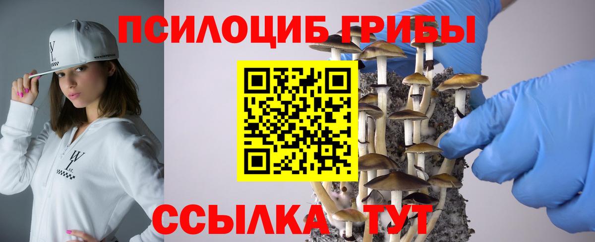 Псилоцибиновые грибы Psilocybine cubensis Дубна